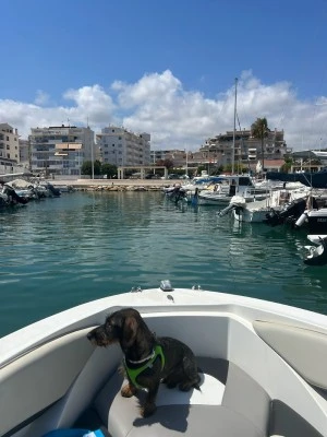 Rompeolas puerto de altea