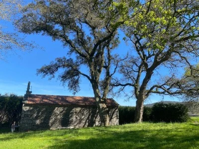 Capela dos Martores