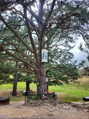 Los Pinos de Garabandal