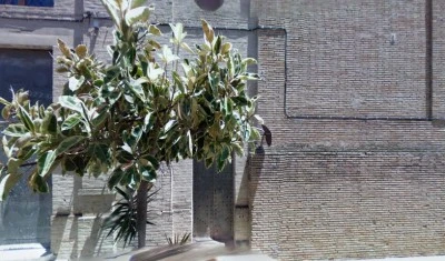 Parròquia catòlica Sant Antoni Abat