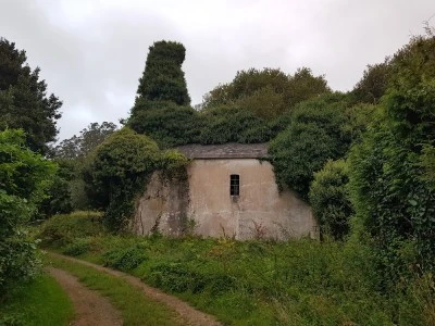Antiga Igrexa de San Pedro