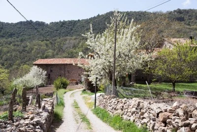 Sant Fruitós de Belestui