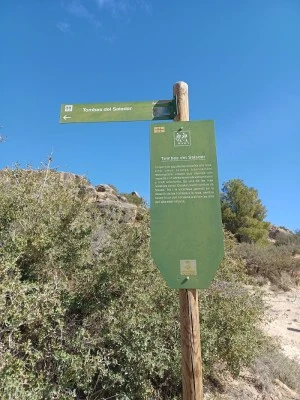 Tombes del Saladar