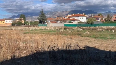 Vegas del Genil
