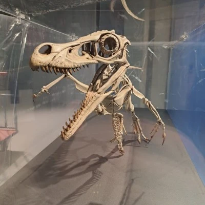 Museu de la Conca Dellà