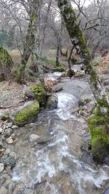 Asociación Benéfica La Najarra