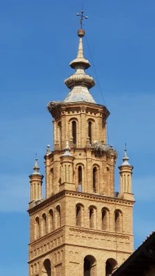 Cáritas Interparroquial de Tarazona