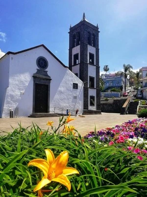 Iglesia de San Pedro Apóstol