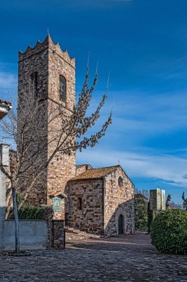Iglesia de Santa María de Palau-Solita