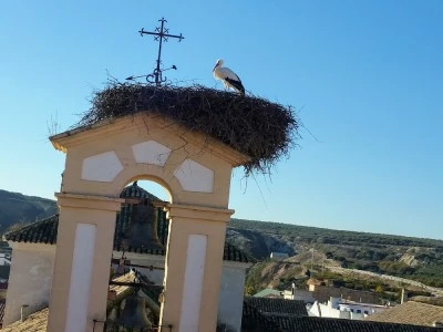 Convento de la Victoria “Los Frailes”