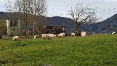 Ermita de San Esteban
