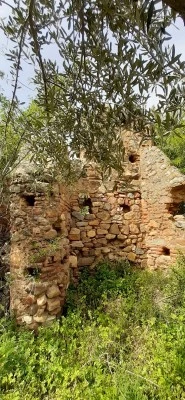 Ermita de san Juan de Nogales, en ruinas