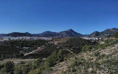 Ermita de San Roque