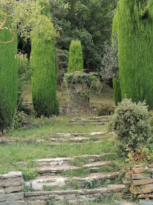Altar de Santa Llúcia