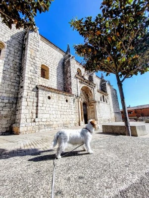 Iglesia de El Salvador
