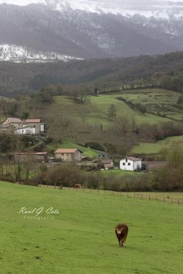 Iglesia de San Cosme y San Damian