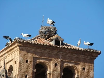 Iglesia De San Esteban