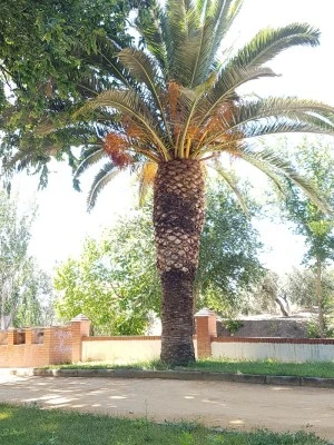 Ermita de la Virgen de la Cruz