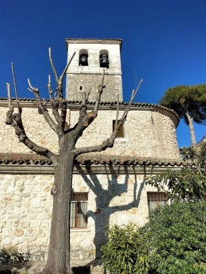 Iglesia de San Pedro Apóstol